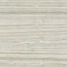 【窝托邦】新中源釉面仿木纹防滑瓷砖地砖800x800客厅全抛釉地面砖墙砖8802