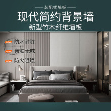 新型竹木纤维墙板背景墙现代简约风格（HBJ9002-1） 套餐1